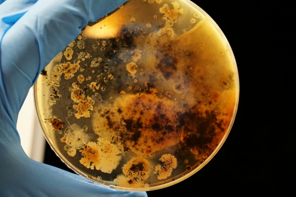 Pathology