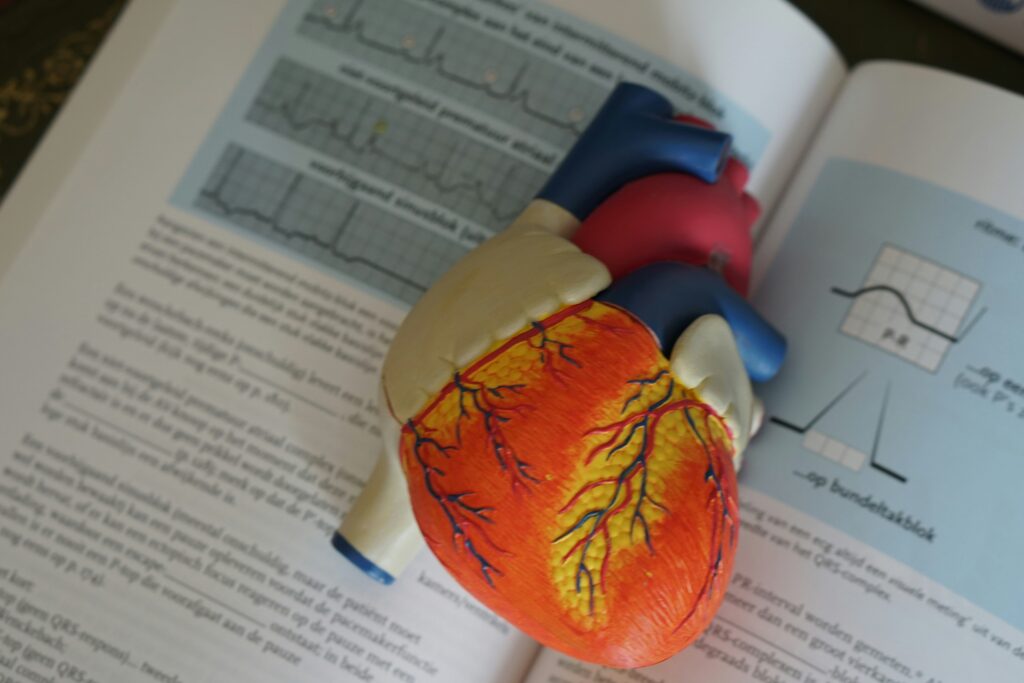 Physiology