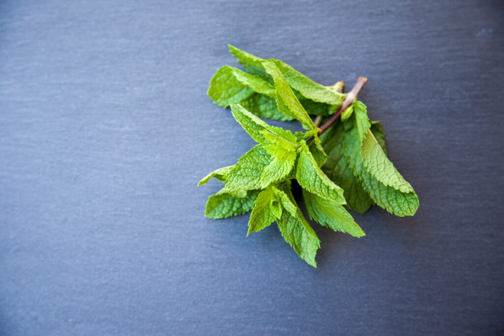 Peppermint